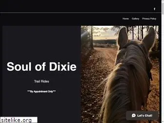 soulofdixie.com