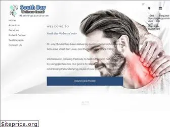 southbaychiro.com