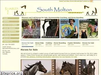 southmoltonhorses.com