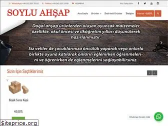 soyluahsap.com