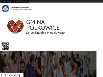sp3.polkowice.pl