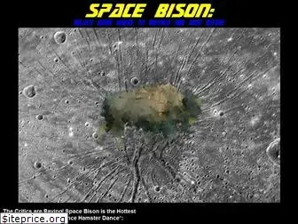 spacebison.com