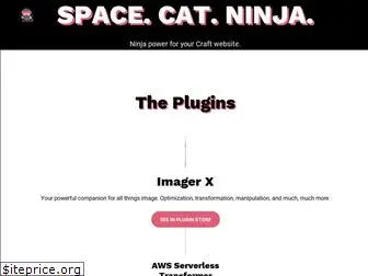 spacecat.ninja