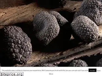 spanish-truffle.com