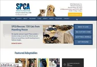 spca914.org thumbnail