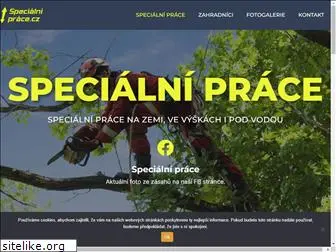 specialni-prace.cz