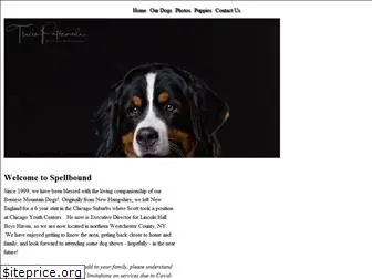 spellboundbernese.com