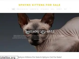 sphynxkitty.company.com