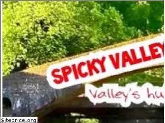 spickyvalley.com