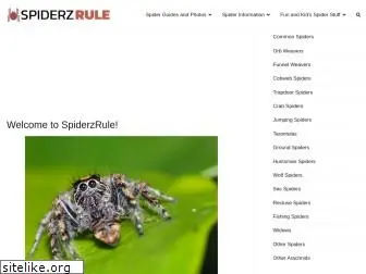 spiderzrule.com