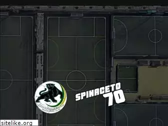spinaceto70.it