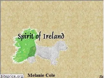 spirit-of-ireland.de