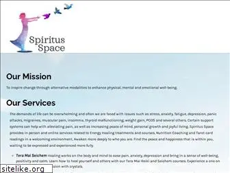 spiritusspace.com