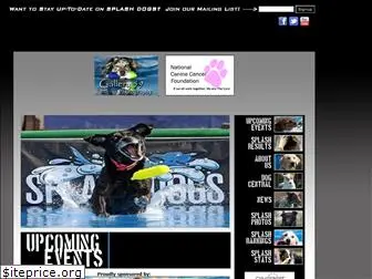 splashdogs.com