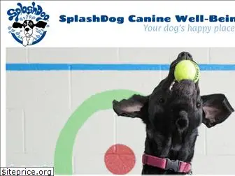 splashdogspa.com