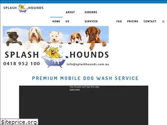 splashhounds.com.au