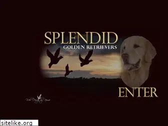 splendidgoldens.com