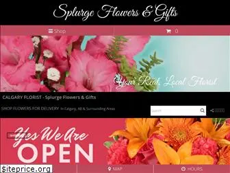 splurgeflowers.com