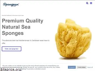 spongean.com