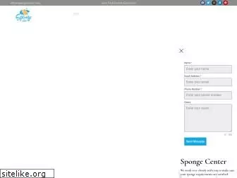 spongecenter.com