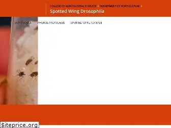 spottedwing.org