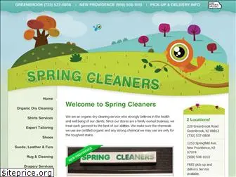spring-cleaner.com