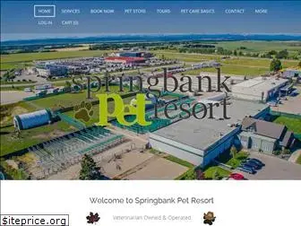 springbankpetresort.ca