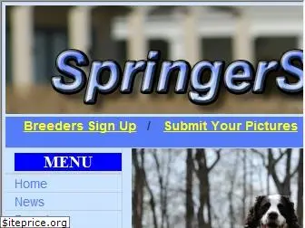 springerspaniel.com