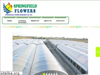 springfield.com.tr