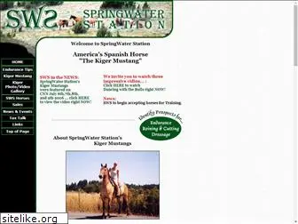 springwaterstation.com