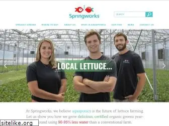 springworksfarm.com