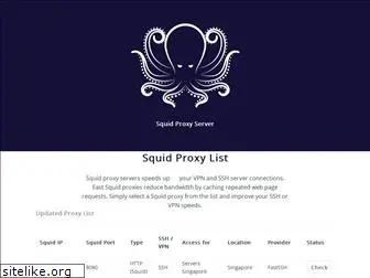 squidproxyserver.com