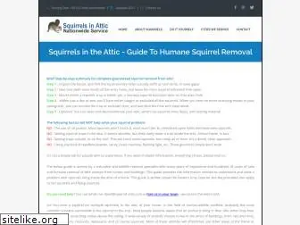 squirrel-attic.com