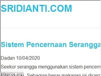 sridianti.com