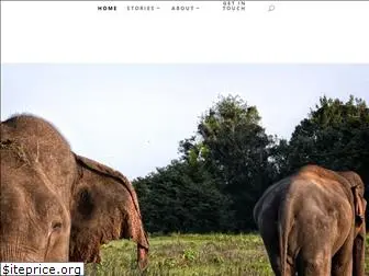 srilankaelephant.com