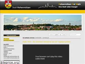 stadt-hohenmoelsen.de