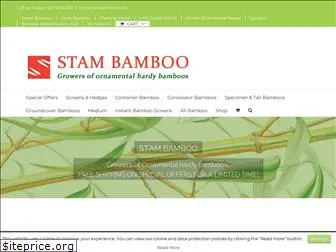 stambamboo.com