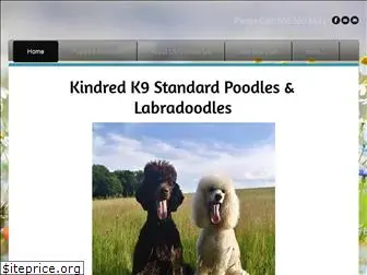 standardpoodledog.com