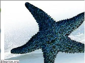 starfishgraphics.biz