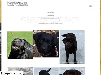 stargazerlabradors.com