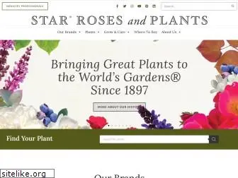 starrosesandplants.com