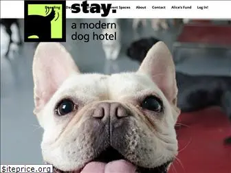 staydoghotel.com