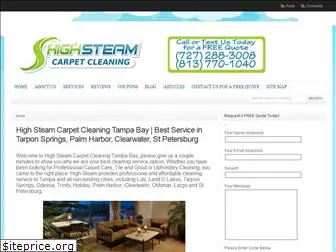 steamcarpetcleaningtampa.com