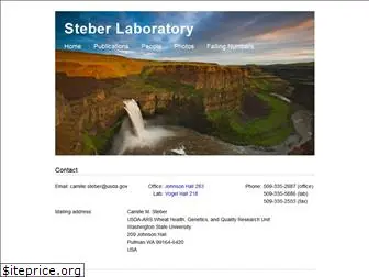 steberlab.org