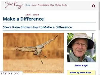 stevekaye.com