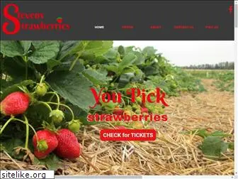 stevensstrawberries.com