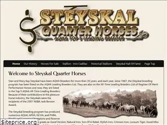 steyskal.com