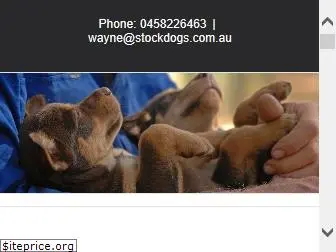 stockdogs.com.au