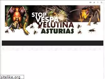 stopvelutina.es