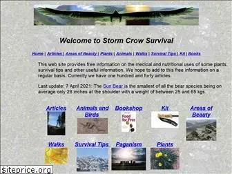 storm-crow.co.uk